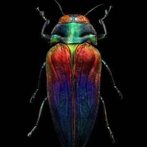 Meet your Posher, Marie-claude